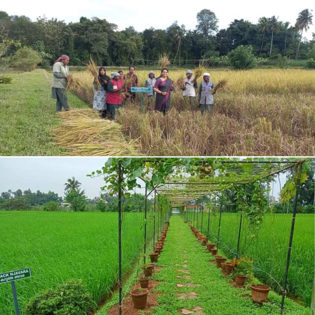 In A First, Century-Old Government Seed Farm In Kerala To Be Declared Carbon-Neutral