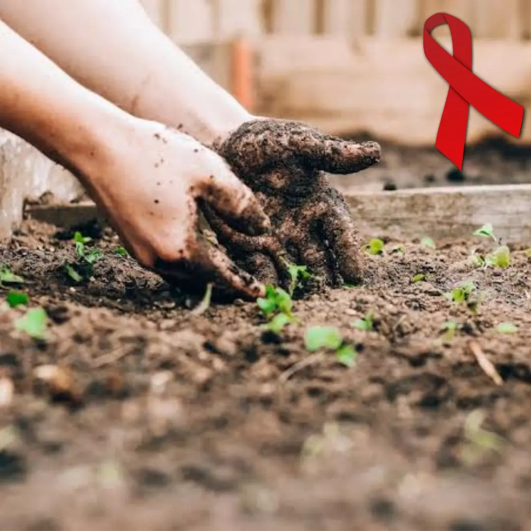 Planting Hope! Tiruvallur Plant Nursery Becomes Source Of Income For Women Living With HIV/AIDS