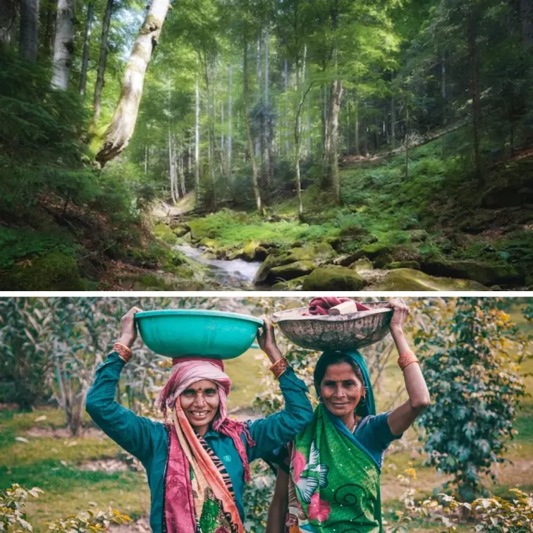 Meet The Women Of Anchala Village Who Revived & Rejuvenated A Forest Over 30 Years