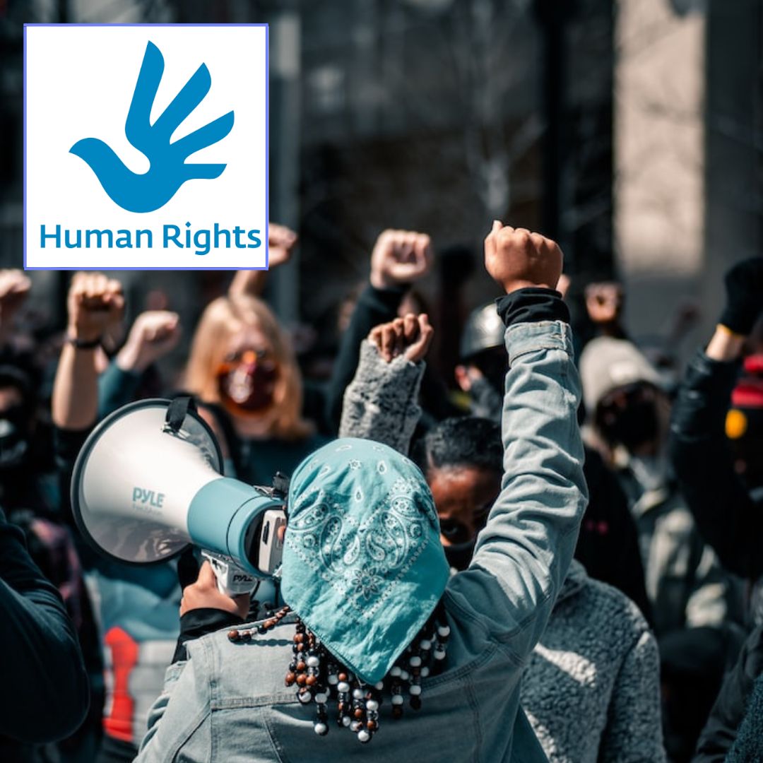 A logo for human rights: And the winner is… | Desert Flower - The Blog