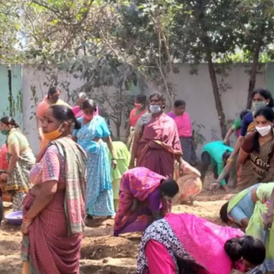 Earning New Modes Of Livelihood: Around 300 Women Earn Through Kitchen Garden Plantation