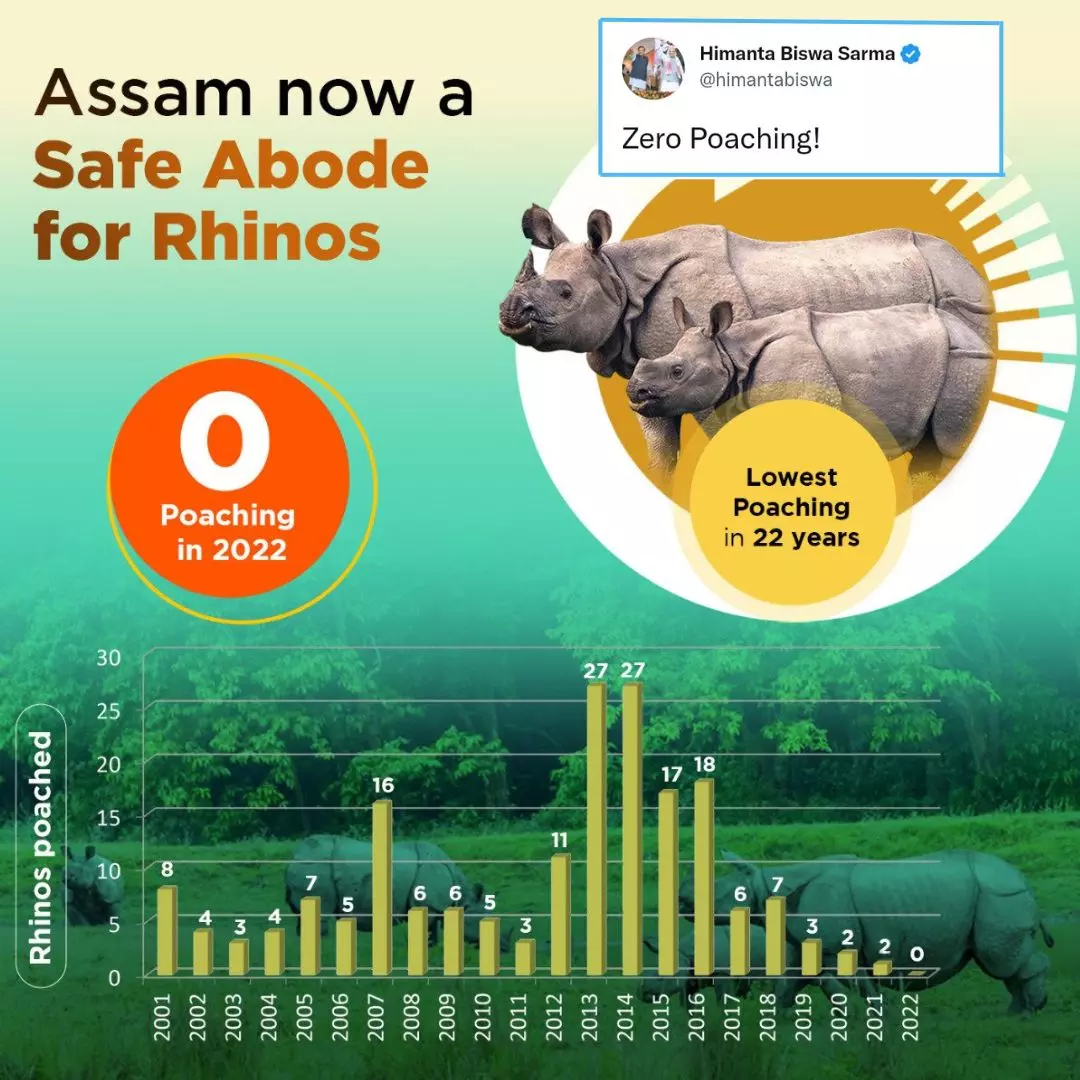 Gentle Giant Much Safer Now!: Assam Records Zero Rhino Poaching In 2022; Lowest In Over 20 Years