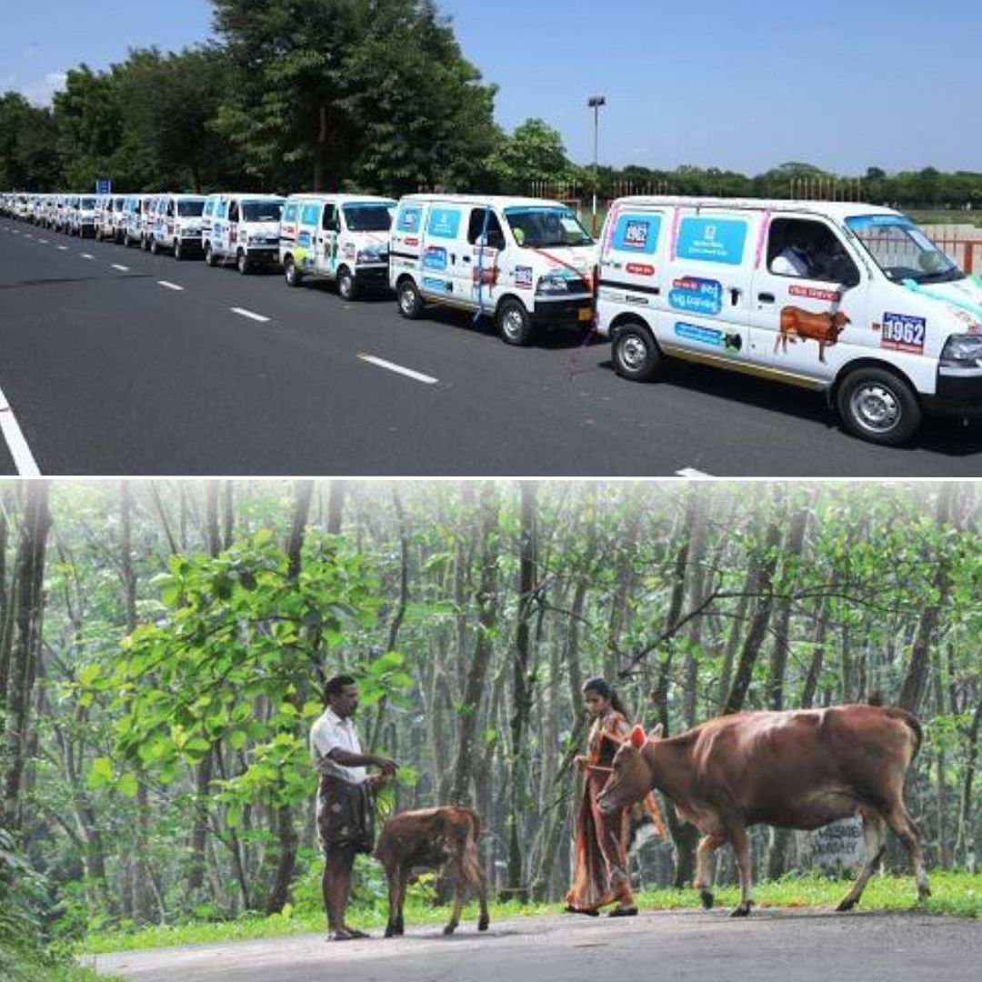 Levelling Up Livestock Care! Kerala Gets 29 Mobile Veterinary Units To  Provide Doorstep Services
