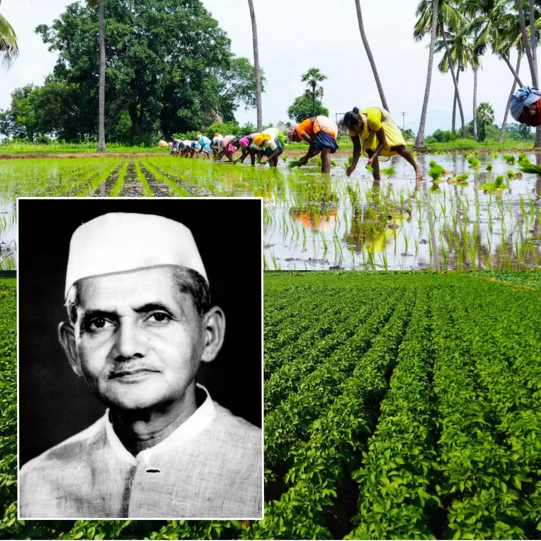 Jai Jawan, Jai Kisaan: Remembering Shastri, Statesman Who Made India Self-Reliant Through Green Revolution