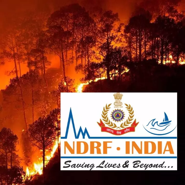 NDRF Forms Special Troops To Combat Forest Fires In India, Training To Commence On Feb 6