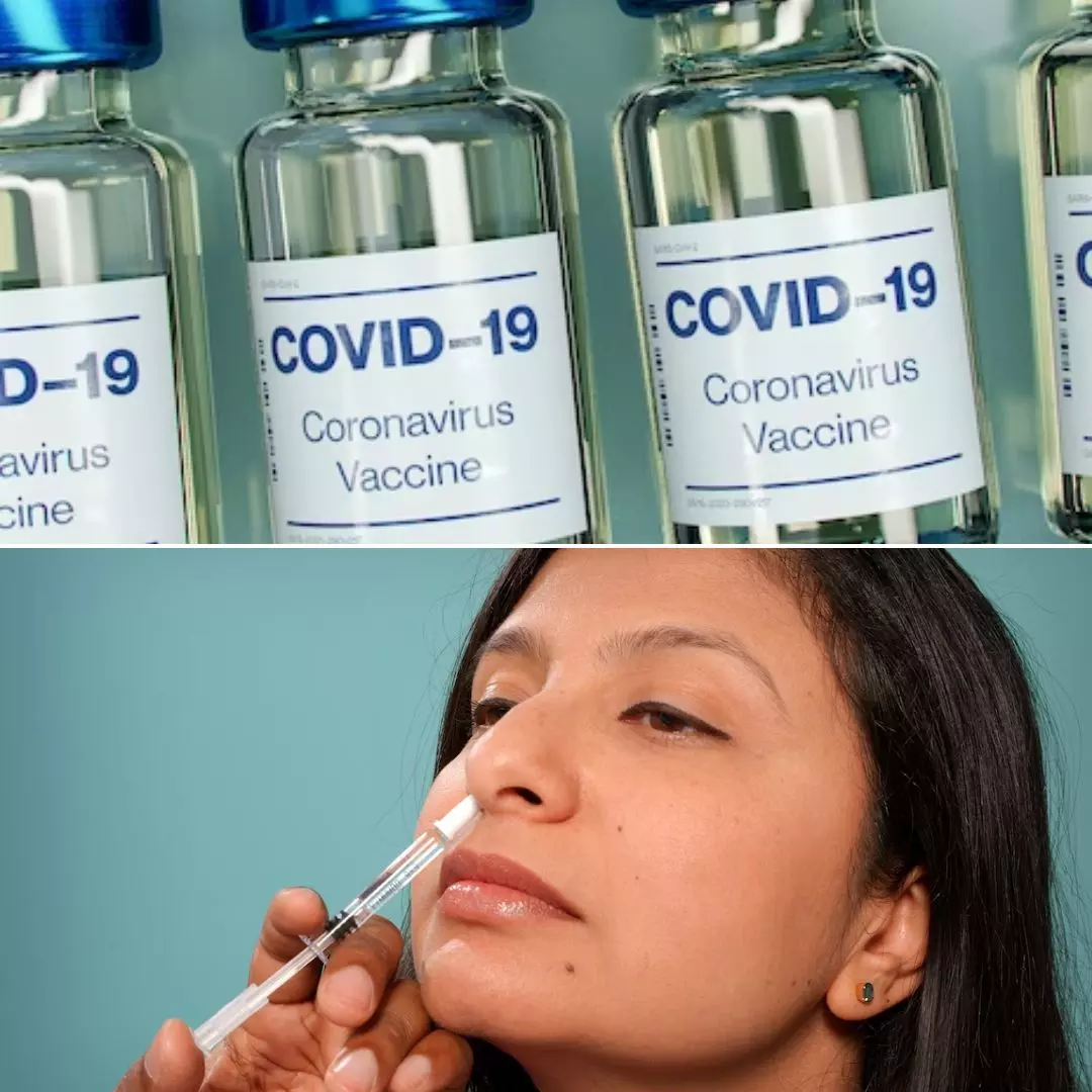 World’s First Made-In-India Intranasal COVID Vaccine To Be Launched On Republic Day, Bharat Biotech Confirms
