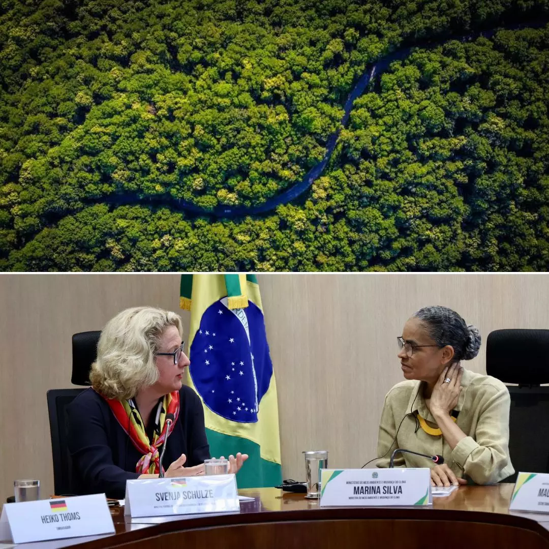 Breathing Back Air! Germany Pledges Millions Of Euros To Brazil To Restore Amazon Rainforests