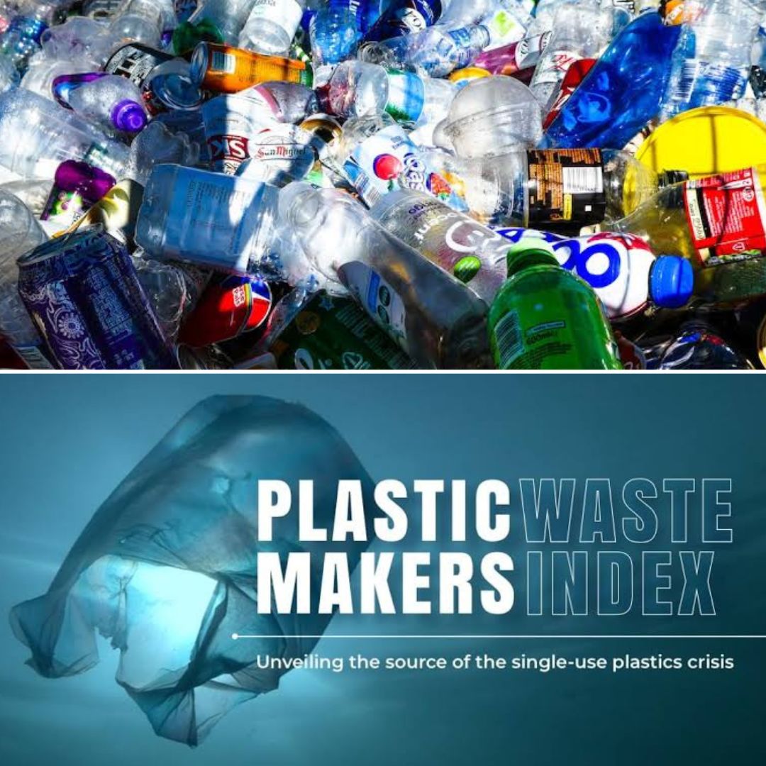 The harmful ban on single-use plastic products – IEDM/MEI