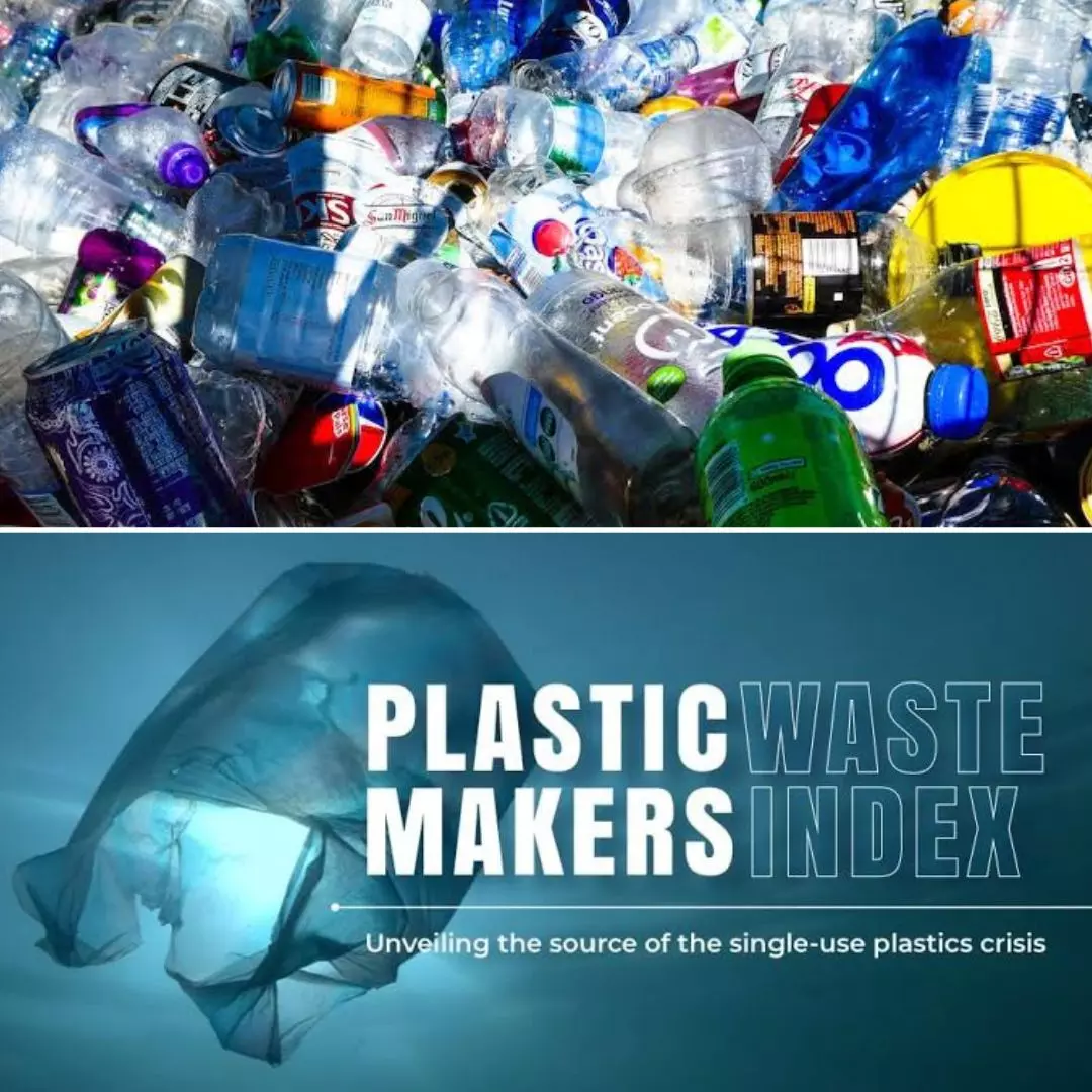 Single-Use Plastic Waste Rose By 6 Mn Tonnes Despite Bans & Regulations, Reveals Study