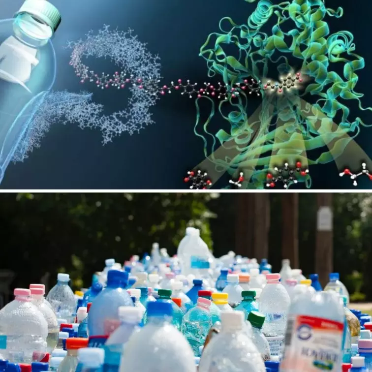 Breakthrough Innovation! New Plastic-Eating Enzyme Breaks Down Trash To Its Basic Components