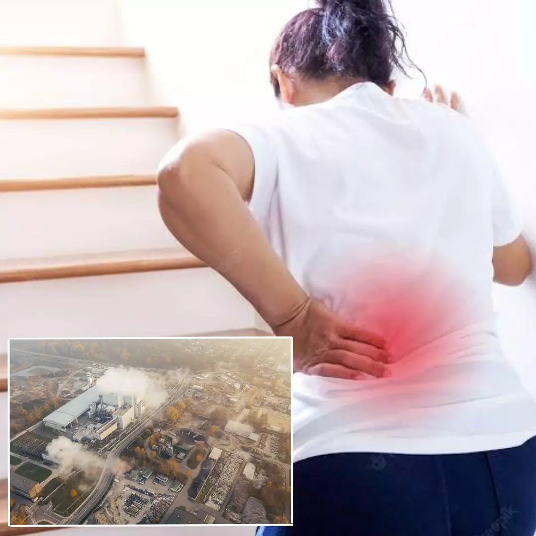 Air Pollutants Can Speed Up Bone Loss Among Postmenopausal Women, Reveals Study