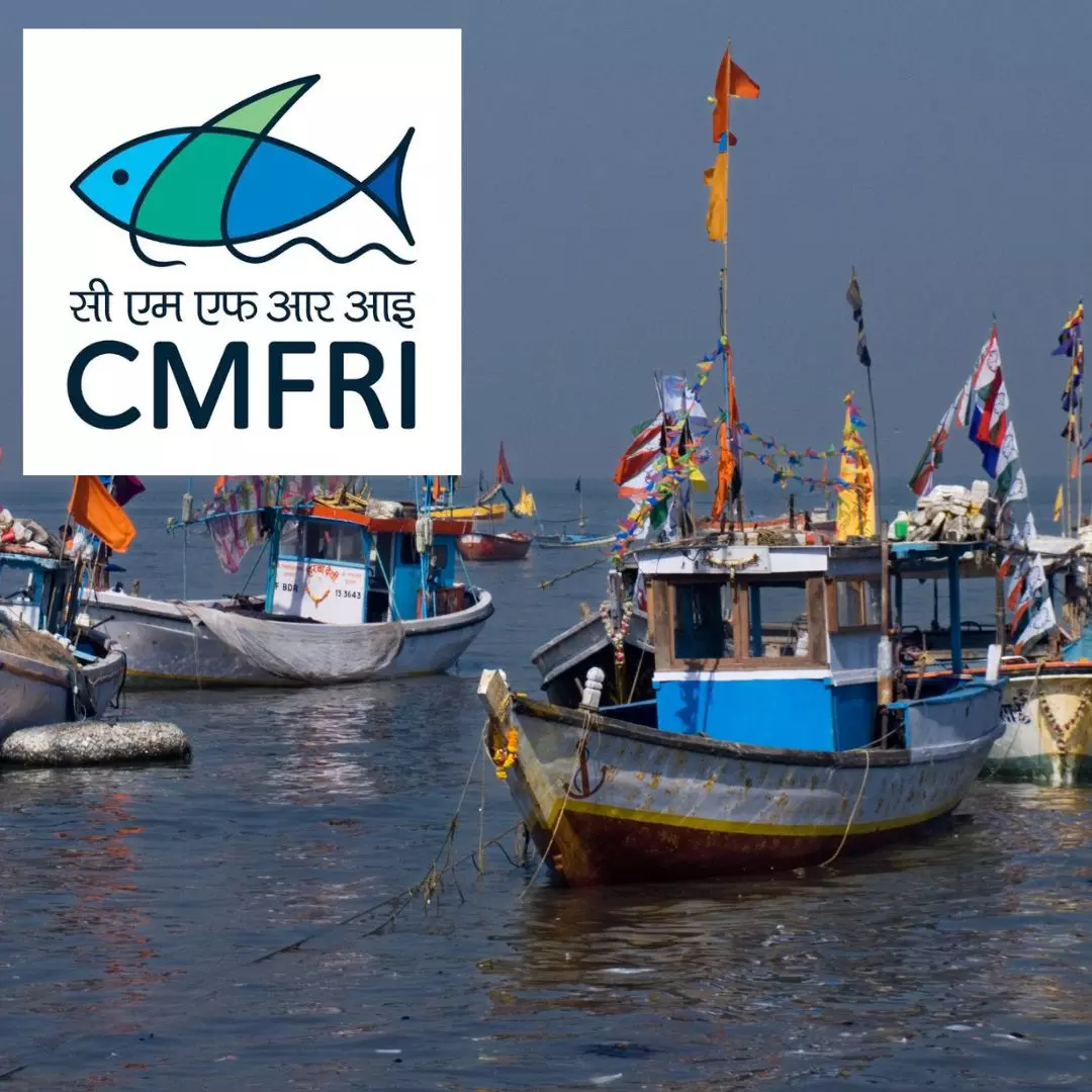 Indias Carbon Footprint From Fisheries Sector Much Lower Than Global Level, Says Study