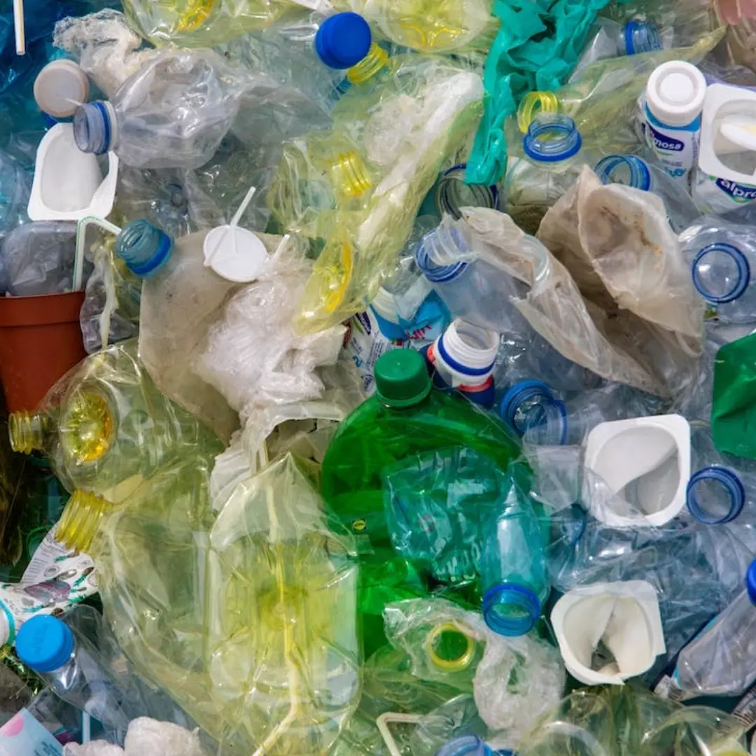 Recycled Plastic Is More Toxic Than Original Parts, Can Lead To Microplastic Pollution: Greenpeace