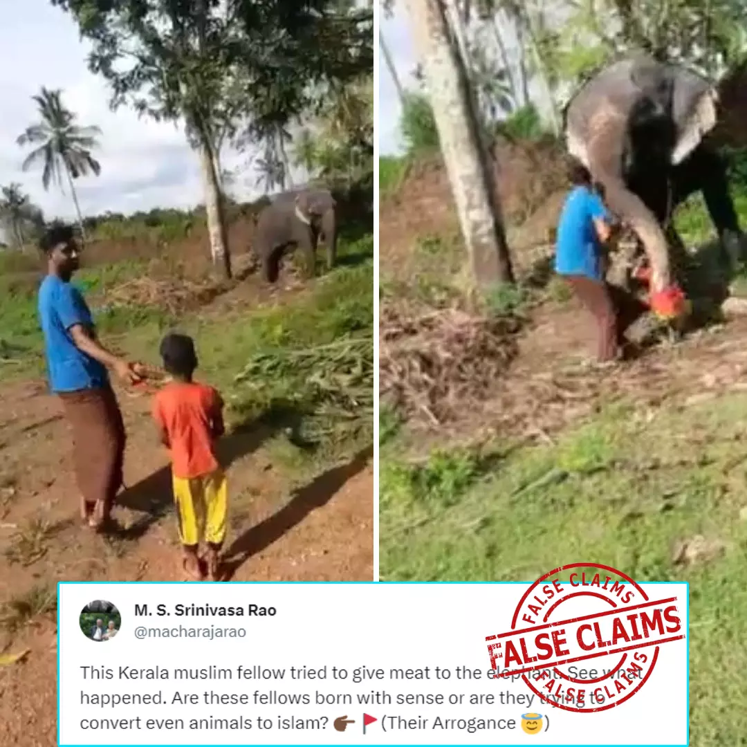 Old Video Of Kerala Man Feeding Coconut To Elephant Revived With False Communal Claim