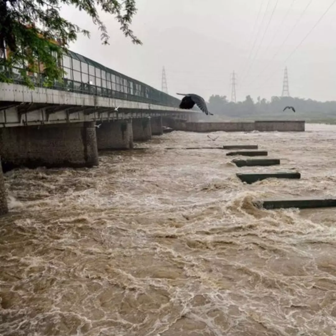 Yamuna River Reaches Tajmahal Walls, Orange Alert Issued In Mumbai As Rains Continue