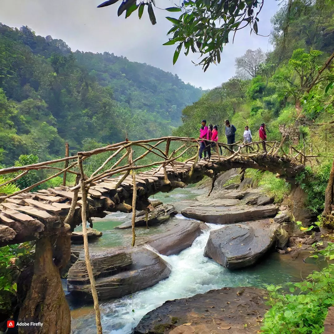 Meghalayas Living Root Bridges Gain Recognition On UNESCOs Tentative World Heritage Site List