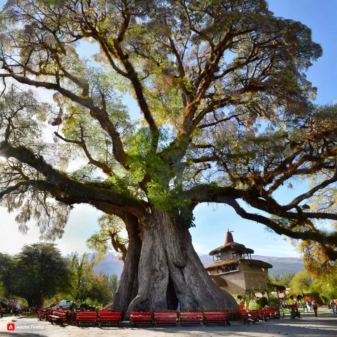 Chiles Great Grandfather Tree Emerges As the Worlds Oldest Living Witness