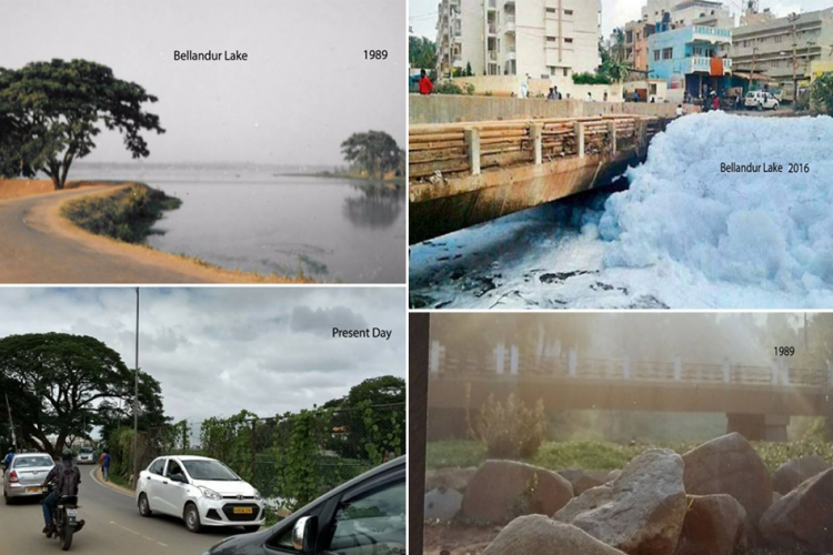 This Is How Bellandur Lake In Bengaluru Has Changed To A Drainage Swamp