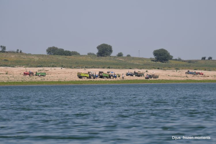 Illegal Sand Mining Chambal Gharial