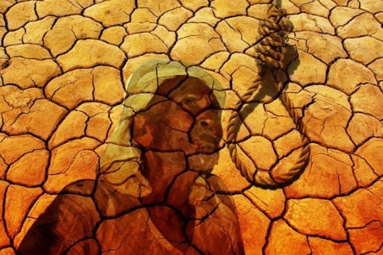 Farmers Suicide Punjab