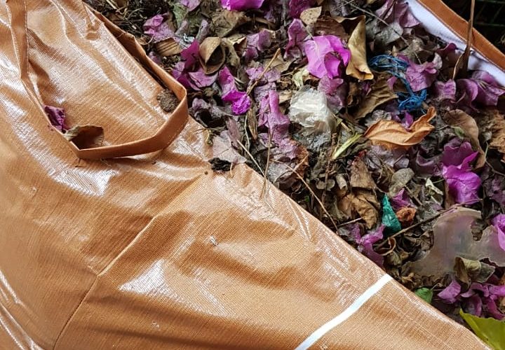 Compost Bags Leaves Kormangala