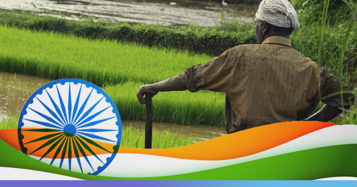 essay on indian agriculture in post independence era
