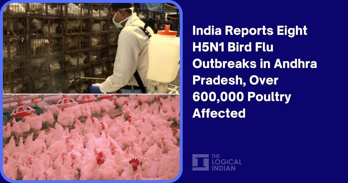 India Reports Eight H5N1 Bird Flu Outbreaks in Andhra Pradesh, Over ...