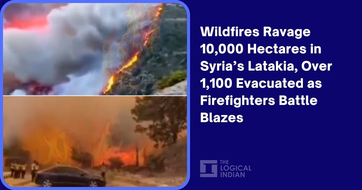 Wildfires Ravage 10,000 Hectares in Syria’s Latakia, Over 1,100 Evacuated as Firefighters Battle Blazes
