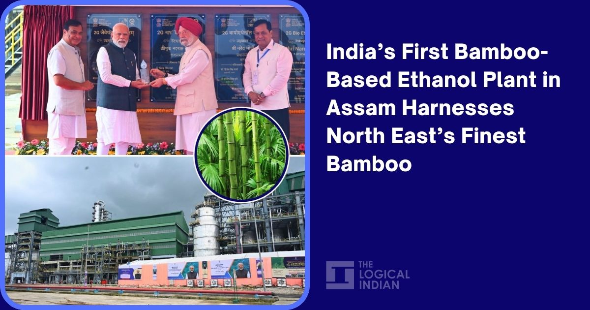 India’s First Bamboo-Based Ethanol Plant in Assam Harnesses North East’s Finest Bamboo