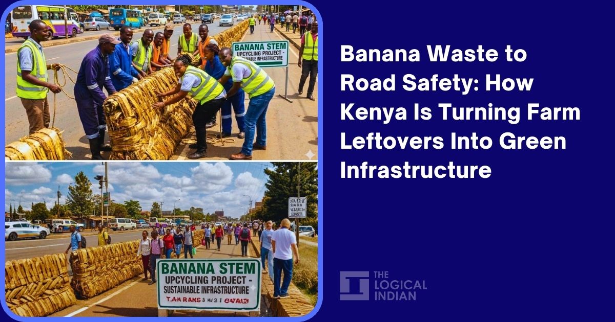 Banana Waste to Road Safety: How Kenya Is Turning Farm Leftovers Into Green Infrastructure