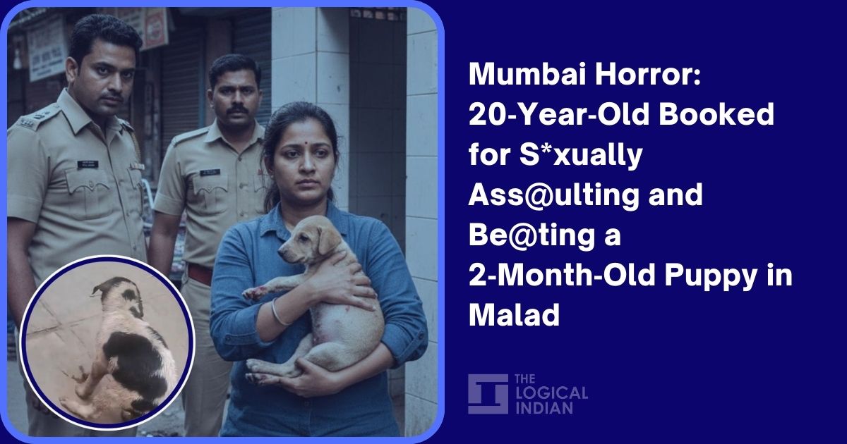 Mumbai Horror: 20‑Year‑Old Booked for Sexually Assaulting and Beating a 2‑Month‑Old Puppy in Malad