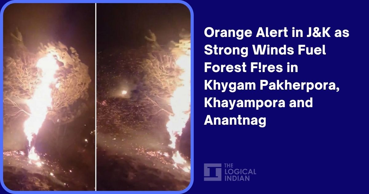 Orange Alert in J&K as Strong Winds Fuel Forest Fires in Khygam Pakherpora, Khayampora and Anantnag