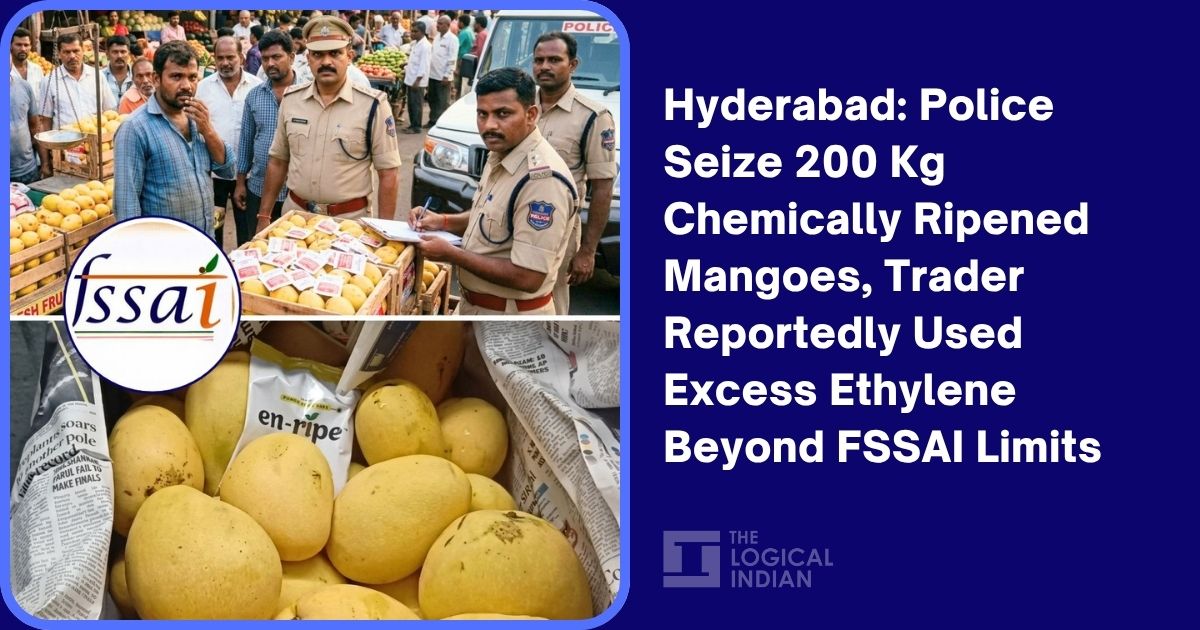 Hyderabad: Police Seize 200 Kg Chemically Ripened Mangoes, Trader Reportedly Used Excess Ethylene Beyond FSSAI Limits