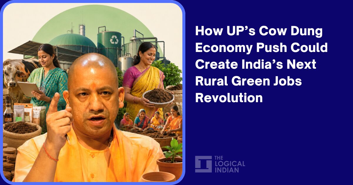 How UP’s Cow Dung Economy Push Could Create India’s Next Rural Green Jobs Revolution
