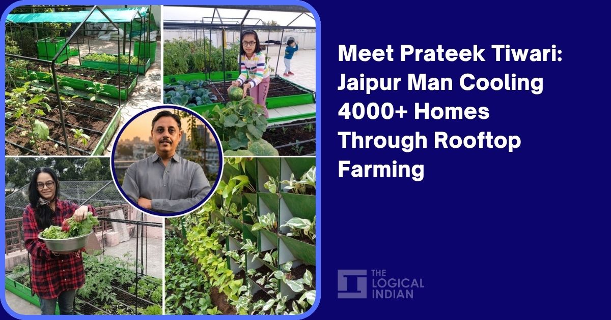 Meet Prateek Tiwari: Jaipur Man Cooling 4000+ Homes Through Rooftop Farming