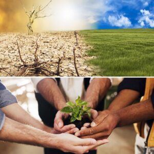 climate change