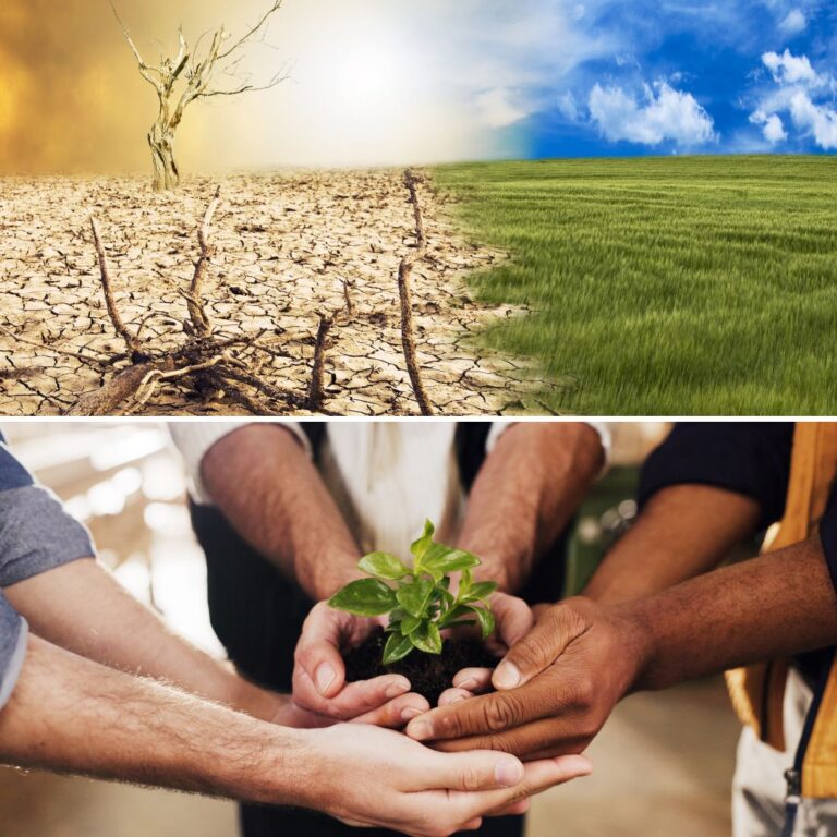 climate change